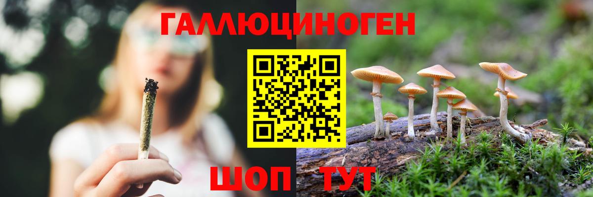Галлюциногенные грибы GOLDEN TEACHER Кинешма